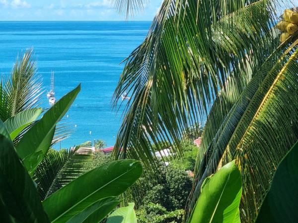 A la foto es mostra l'objecte tobago situat a la ciutat de Deshaies.