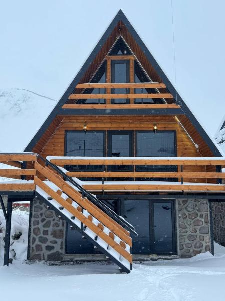 Φωτογραφία 1: Infinity Chalets in Kazbegi