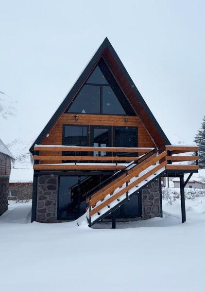 Φωτογραφία 2: Infinity Chalets in Kazbegi