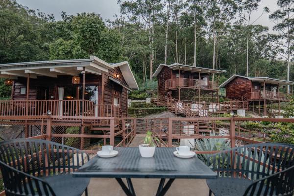 Nella foto è visibile l'oggetto Hilltop Munnar by Fracspace situato nella città di Munnar.