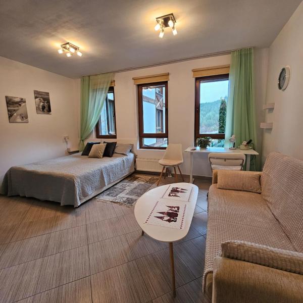 A la foto es mostra l'objecte Green life Ski & Spa Studio situat a la ciutat de Bansko.