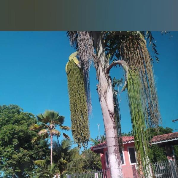 På billedet ses objektet Refúgio do mar beliggende i byen Berlinque.