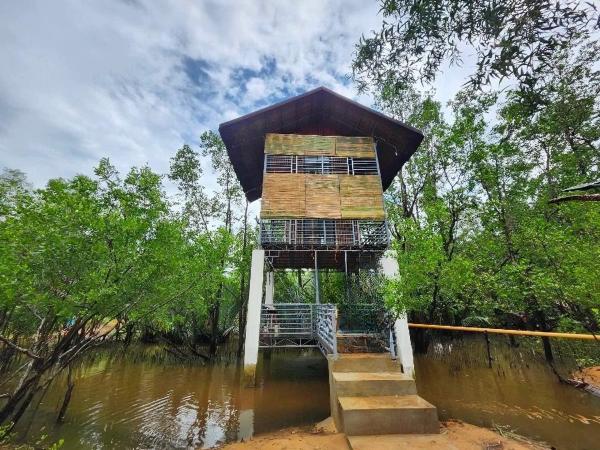 Na fotografii je vidět objekt Tree House nacházející se ve městě Nabalabag.