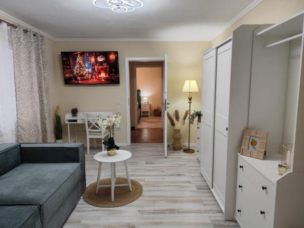 A la foto es mostra l'objecte L&R Favorit Apartment situat a la ciutat de Măru.