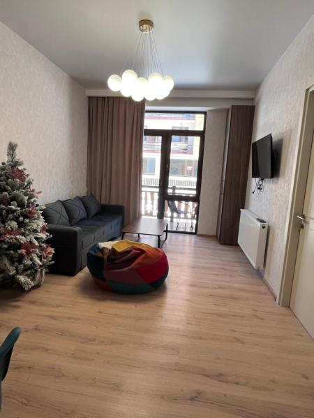 A la foto es mostra l'objecte Trialeti Residence C 26 situat a la ciutat de Bakuriani.