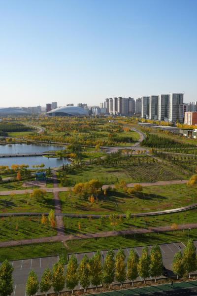 Studio mit Gartenblick — 28 m² - Bugun апарт-гостиница с птичьего полета, EXPO