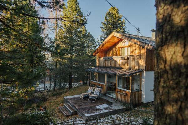 Foto 2: pine19