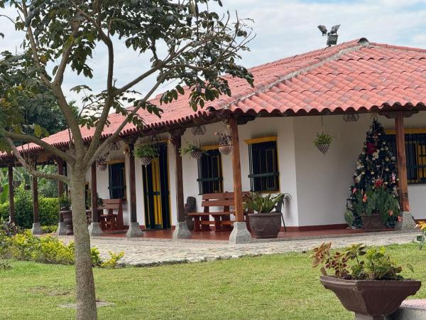 La photo montre l'objet Eje cafetero Cacique Amarillo Finca situé dans la ville de Circasia.