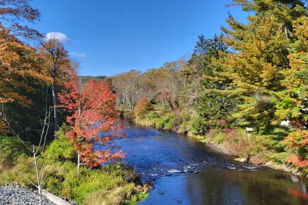Serenity On The Lehigh River - Arrowhead Lake, PA