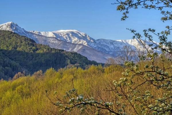 Foto 5: Authentic House with Stunning Mountain View - Karashka