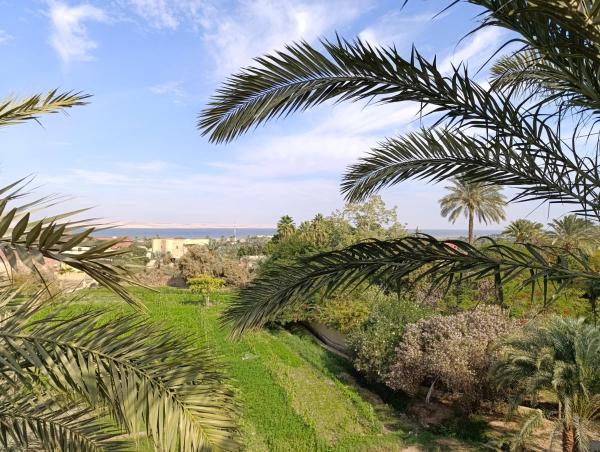 Kuvassa näkyy kohde Bostan studio, joka sijaitsee kaupungissa Fayoum.