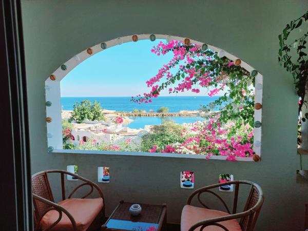Domina Coral Bay - Salt Lake & Sea View - Egypt