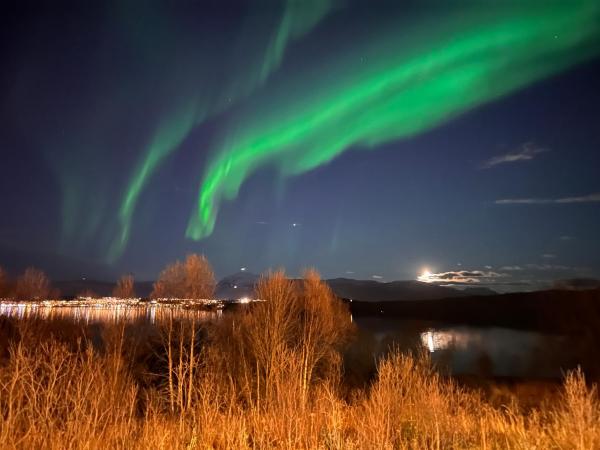 Aurora North, Tromsø