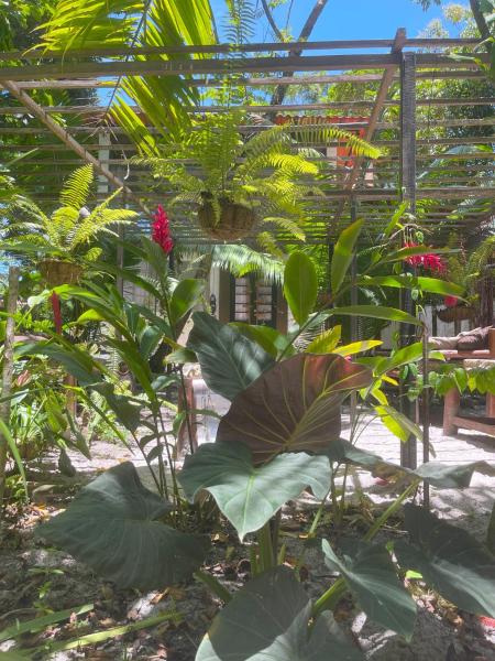 A la foto es mostra l'objecte REFUGIO DO SAGRADO MORERE situat a la ciutat de Moreré.