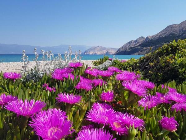 På billedet ses objektet Apartments Prestige Baška beliggende i byen Baška.