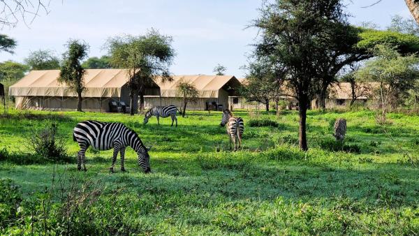照片显示了位于Sinoni市的Africa Safari South Serengeti Ndutu Camping物件。