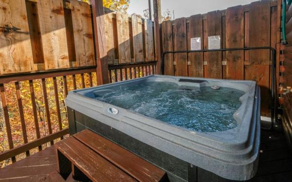 A la foto es mostra l'objecte Wild Bear Lodge situat a la ciutat de Sevierville.