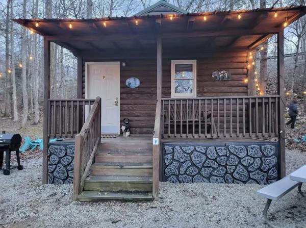 Billede 1: Rustic Cabin in Smoky Mountain