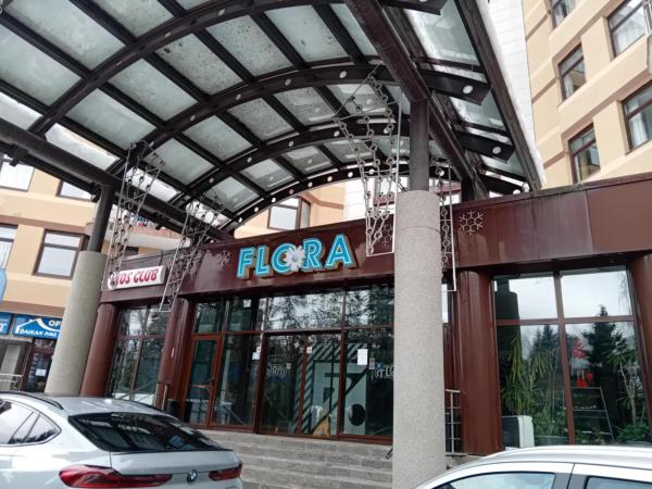 På billedet ses objektet STUDIO B&K in FLORA BOROVETS beliggende i byen Borovets.