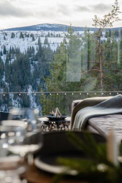 A la foto es mostra l'objecte TheNest situat a la ciutat de Mărişel.