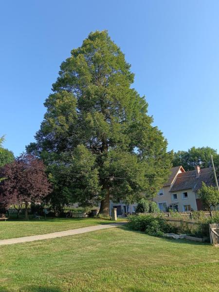 The photo shows the Gîte du Tilleul located in the city of Gap.