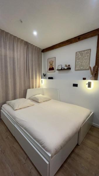 Le nid des Carmes, Toulouse