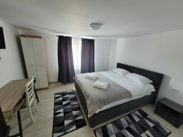 Na zdjęciu widoczny jest obiekt Apartmentul Radu położony w mieście Cîrlibaba.