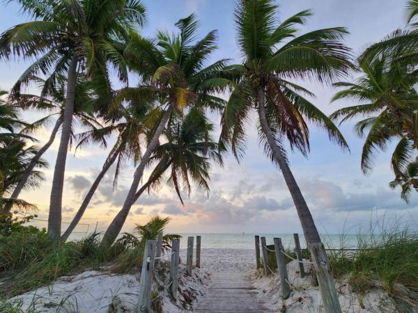 Tranquility by the Beach photo 4