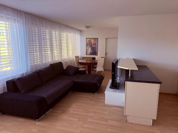 Na zdjęciu widoczny jest obiekt SASS APARTHOTEL położony w mieście Schönenwerd.