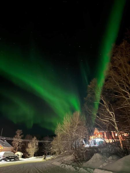 Na fotografii je vidět objekt Nyjords Cabin nacházející se ve městě Svanvik.