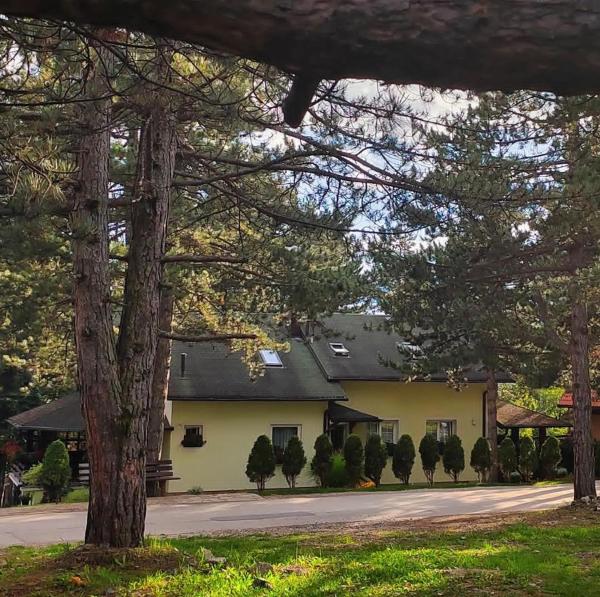 Cvet, Zlatibor