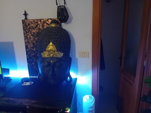 Na fotografii je vidět objekt LaCiliegia monolocale nacházející se ve městě Cheremule.