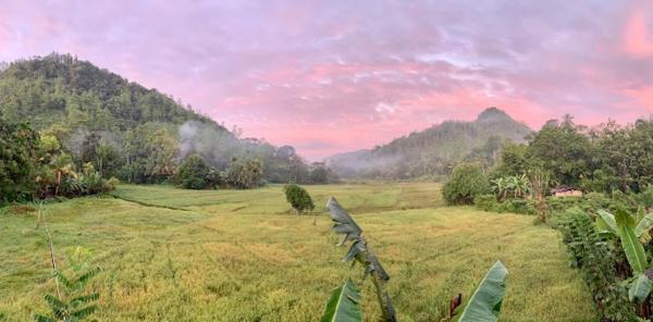 Nella foto è visibile l'oggetto Sunil's Homestay Sinharaja situato nella città di Mannawatta.