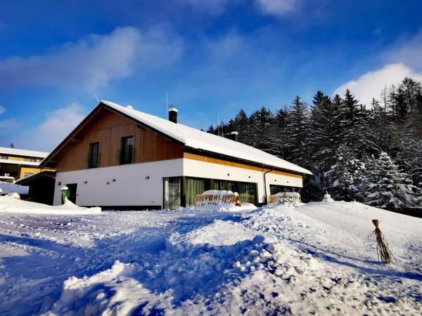 A la foto es mostra l'objecte Villa in Cerny Dul near Ski Resort situat a la ciutat de Černý Dŭl.