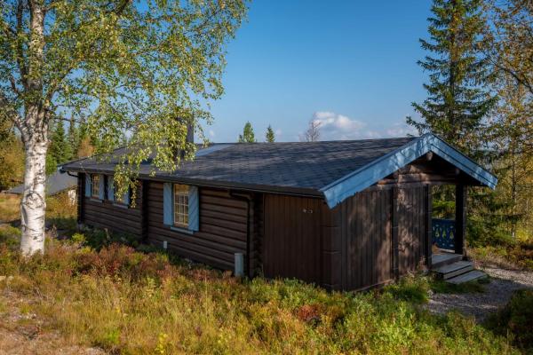 写真にはトリシル市にあるTrysilfjellet Sør 204が写っています。