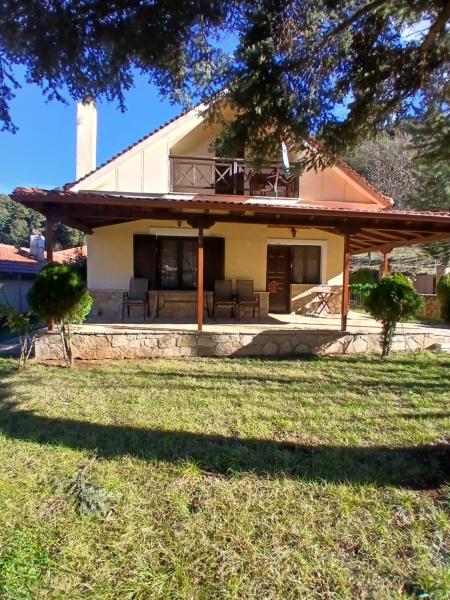 Na foto é possível ver o objeto Μονοκατοικία μέσα στα έλατα localizado na cidade de Dhríza.