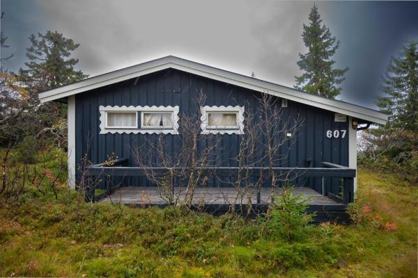 写真にはトリシル市にあるTrysilfjellet Nord 607が写っています。