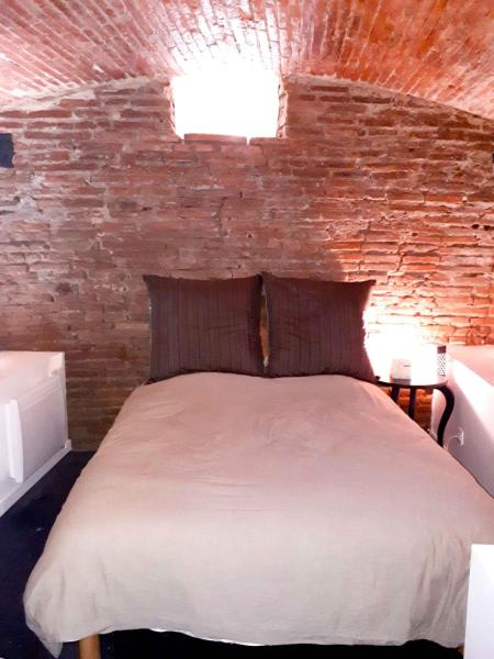 Appartement 2 bedrooms Hyper quiet PEDESTRIAN HISTORIC CENTER, Toulouse