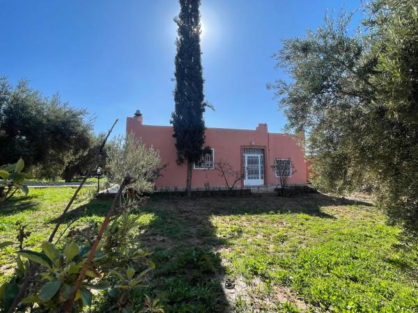 A la foto es mostra l'objecte Sandy farm situat a la ciutat de Tikoutar.