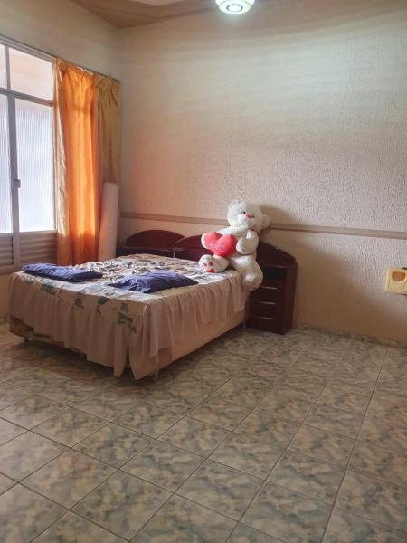 Na fotografii je vidět objekt Cop 30 House Batista Campos nacházející se ve městě Belém.