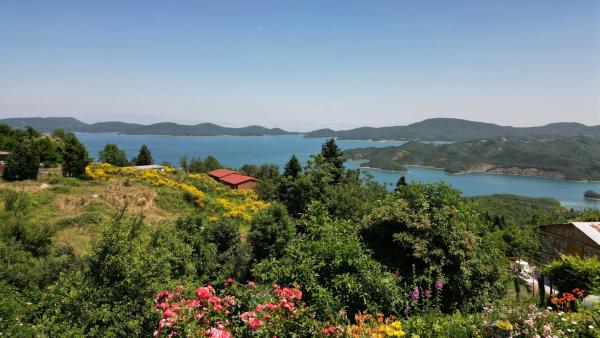 Na zdjęciu widoczny jest obiekt Guesthouse Mitsiopoulou położony w mieście Ágios Athanásios.
