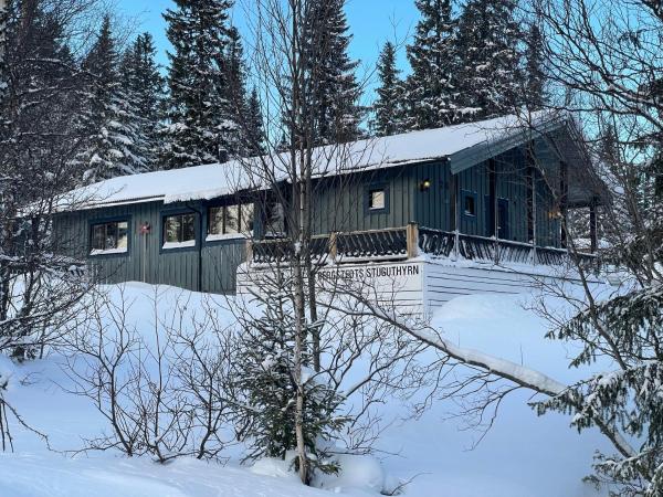 A la foto es mostra l'objecte Åre, Trillevallen stuga Jakob situat a la ciutat de Trillevallen.