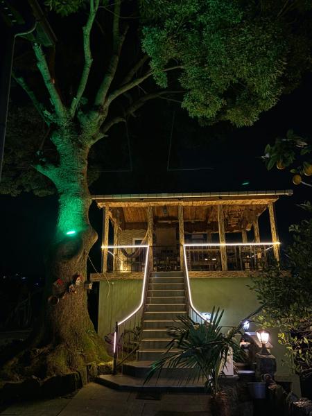 A la foto es mostra l'objecte Apartment Green House situat a la ciutat de Makhinjauri.