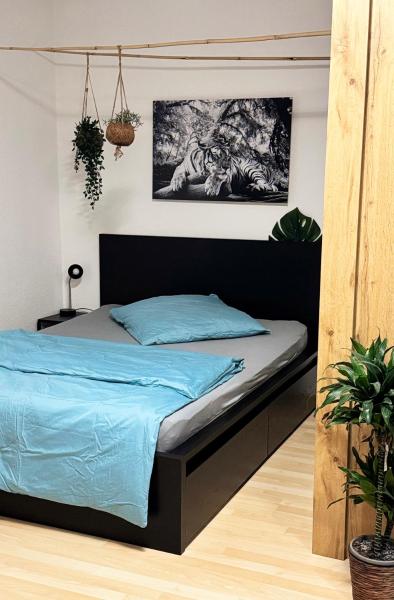 Na zdjęciu widoczny jest obiekt Zentrumnah inklusive Parkplatz Jungle-Suite by Rentigo - Ruheoase im Herzen von Saarbrücken! położony w mieście Saarbrücken.