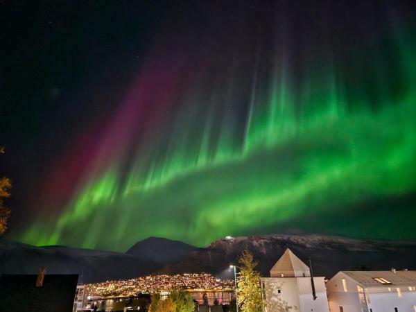 Cozy, central apartment with best view in Tromsø, Tromsø