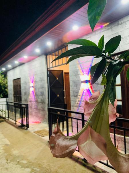 A la foto es mostra l'objecte Nethuli Inn Ella situat a la ciutat de Ella.