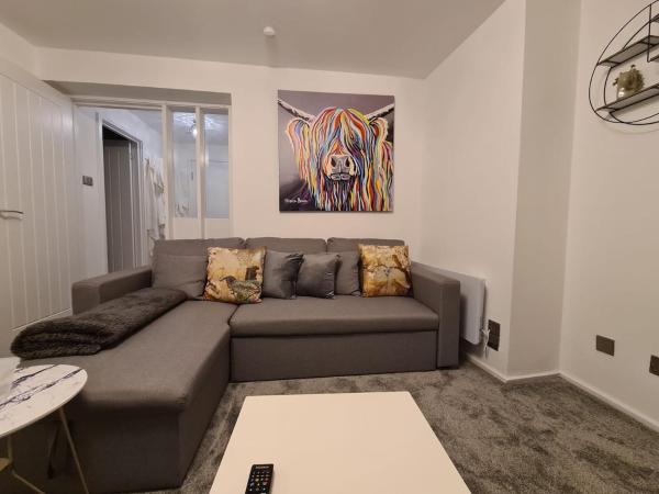Cozy Flat in Glasgow City Centre, Glasgow