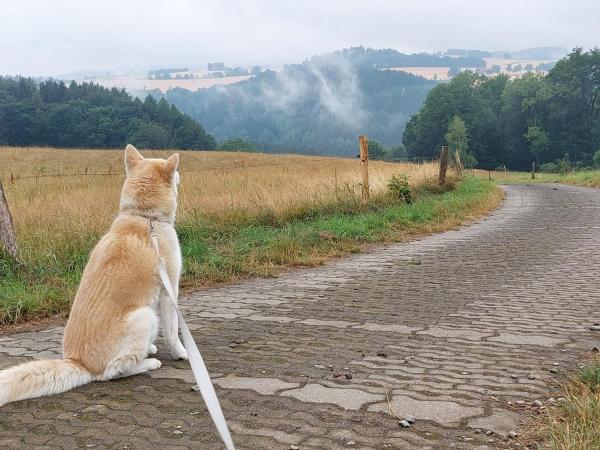 A la foto es mostra l'objecte Karsten Cottages situat a la ciutat de Bodenberg.