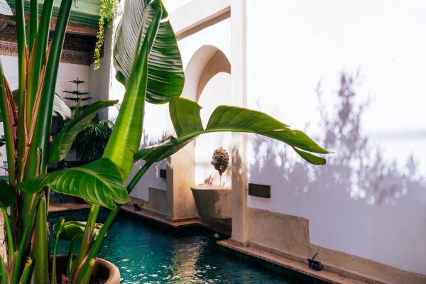 Riad Dar Dounia - Marrakech
