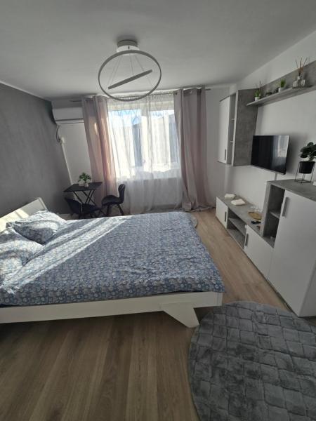 写真にはティミショアラ市にあるGarsoniera - moderna - Timișoaraが写っています。